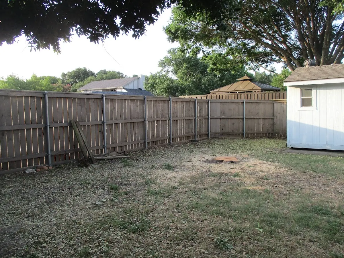 Cleared yard after professional tree removal in Tougaloo