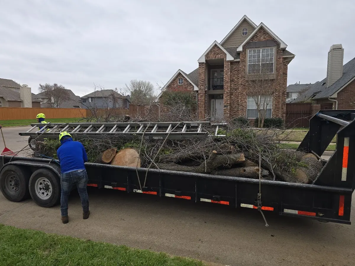 Expert Tree Fertilization with proper safety equipment in Tougaloo